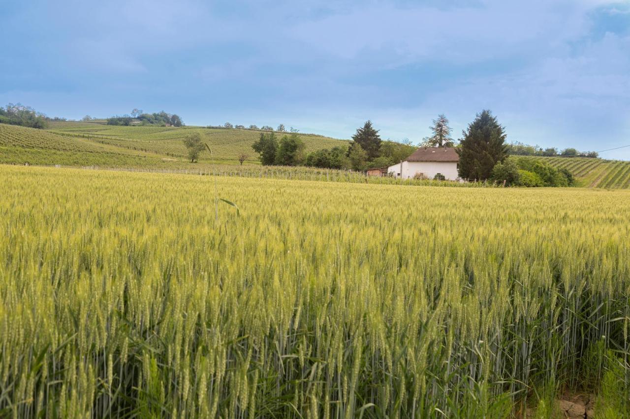 White Tail Organic Farm Villa Orsara Bormida Екстериор снимка